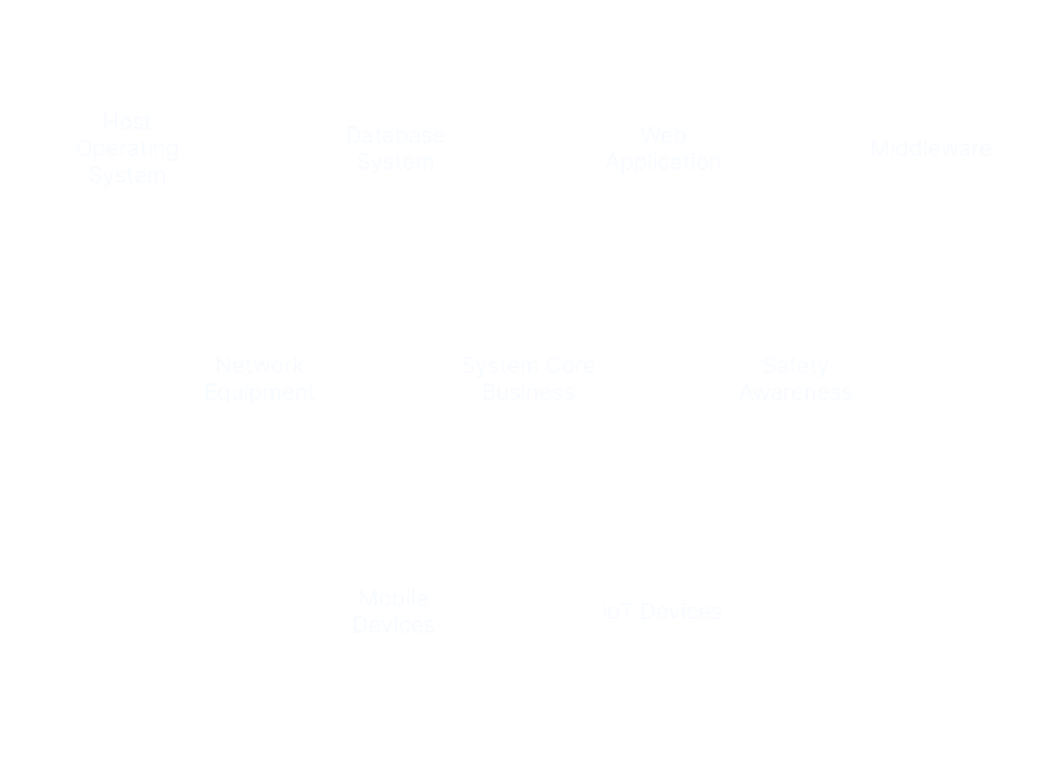 渗透测试服务类型总览图