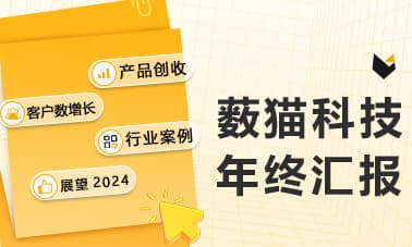 薮猫科技年终汇报，请审阅！