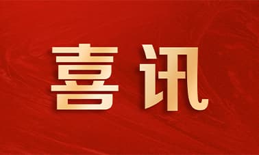 2024 首批｜薮猫科技获评浙江省专精特新中小企业