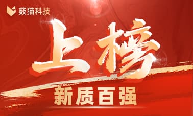 新质•中国数字安全百强，薮猫科技榜上有名！