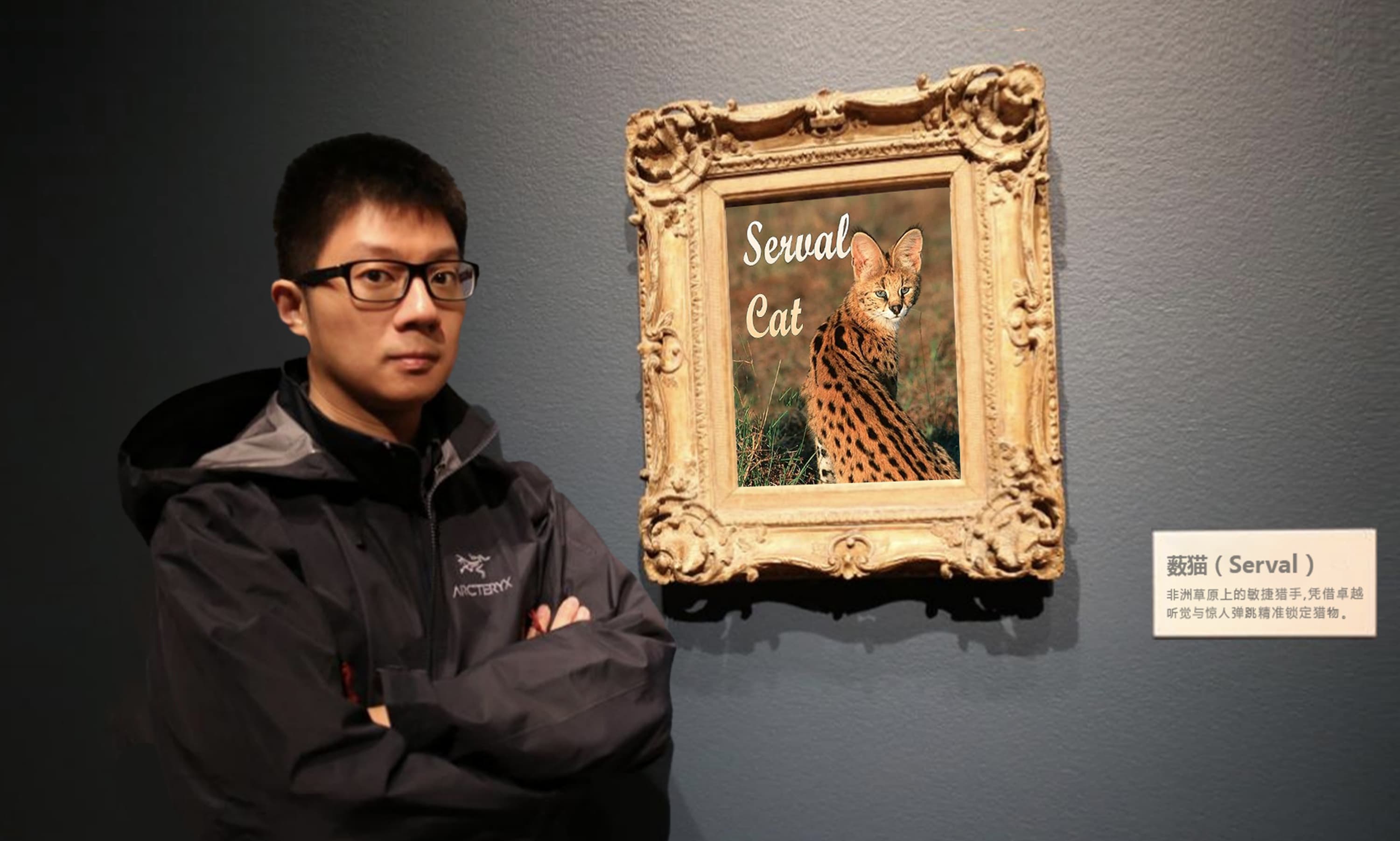 薮猫科技：如何突破数据安全赛道成为行业先锋？